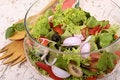 Free Garden Salad Royalty Free Stock Photo - 954575
