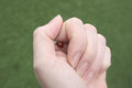 Free Save The Ladybird Royalty Free Stock Photography - 955417
