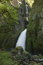 Free Wahclella Falls Stock Photo - 950080