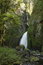 Free Wahclella Falls Stock Photography - 950082