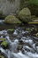 Free Wahclella Creek Stock Photo - 950100