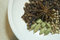 Free Plate Of Spices Stock Image - 950161