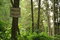 Free Path In The Woods Royalty Free Stock Image - 950526