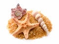 Free Starfish And Seashells Stock Photos - 9531633