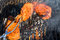 Free Turning BBQ Stock Image - 9530001