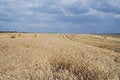 Free Agriculture Landscape Stock Image - 9565821
