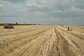 Free Agriculture Landscape Royalty Free Stock Photography - 9565867