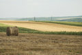Free Agriculture Landscape Royalty Free Stock Photos - 9566548