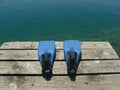 Free Fins Blue On Sea-port With Green Blue Sea Royalty Free Stock Images - 9569539