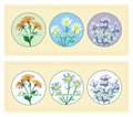 Free Flowers Royalty Free Stock Photos - 9582428