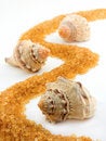Free Three Seashells Royalty Free Stock Image - 9599386