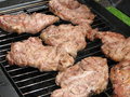 Free Baking The Steaks Stock Image - 960611