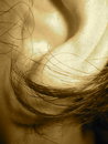 Free Curl Stock Images - 961124