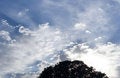 Free Sun Rays Royalty Free Stock Photography - 969117