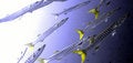Free Yellow Blue Barracuda Underwater Royalty Free Stock Photo - 9611045