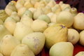 Free Grapefruit Royalty Free Stock Image - 9618036