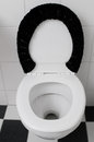Free Toilet In Bathroom Royalty Free Stock Photo - 9638205