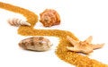 Free Seashells Stock Image - 9641701