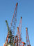 Free Several Cranes In A Harbor Stock Photos - 9642063