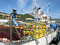 Free Fishing Boat In The Port Stock Images - 9642084
