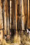 Free Weathered Planks Royalty Free Stock Photo - 9683885