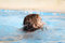 Free Child Swimming Royalty Free Stock Image - 9684446