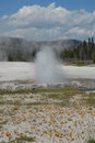 Free Sprouting Geyser Basin_Bacterial Formation Royalty Free Stock Images - 972489