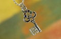 Free Key Charm Royalty Free Stock Images - 972599