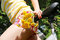 Free Young Teen Girl With Dandelions On A Bike Stock Images - 9732594