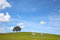 Free Summer Landscape Beauty Stock Photos - 9756323