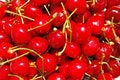 Free Red Cherries Stock Photography - 9780892