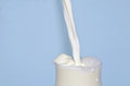 Free Spilt Milk Stock Photos - 9789373