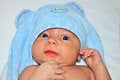 Free In The Eared Towel Royalty Free Stock Image - 9791516