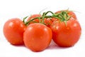 Free Tomatos Royalty Free Stock Photography - 9795917