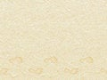 Free Footmark Beach Stock Images - 9796264