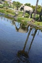 Free La Brea Tar Pits Royalty Free Stock Image - 982586