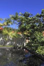 Free Poolside Stock Image - 9801211