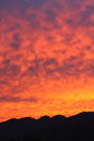Free Rising Sun Royalty Free Stock Image - 9806456