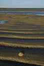 Free San Felipe Low Tide Stock Image - 9807611