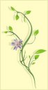 Free Flowering Sprig. Background For Card Royalty Free Stock Photos - 9808038