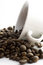 Free Coffee Royalty Free Stock Image - 9807576