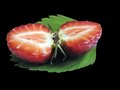 Free Strawberry Royalty Free Stock Photos - 9812788