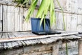 Free Laptop On A Bamboo Table Stock Photography - 9813142
