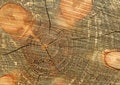 Free Tree Rings Stock Image - 9814081
