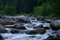 Free Red Creek Rapids At Dolly Sods Wilderness Area Royalty Free Stock Image - 990976