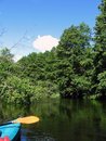 Free Kayaking Royalty Free Stock Image - 992866