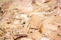 Free Wooden Texture Stock Photos - 995313