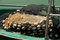 Free Marina Stock Images - 993884