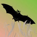 Free Bat Illustration Stock Image - 9917001