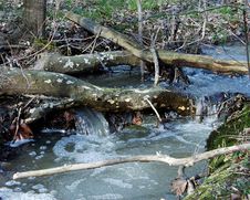 Water Running Over Log Royalty Free Stock Photography